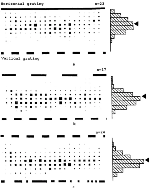 Fig. 3. Distribution of bees' positions in the tunnel when the two walls carry different, stationary patterns