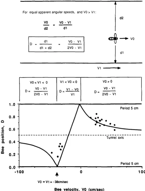 Fig. 5. Dependence of the centering response on apparent angular velocity: Experiment testing the hypothesis that bees balance the apparent angular speeds of the images on the two eyes as they fly through a tunnel in which one wall carries a stationary gra