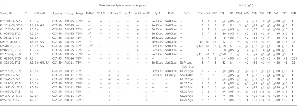 Table 1. Molecular characterization of drug resistance genes and antibiotic susceptibility profile of the 19 A