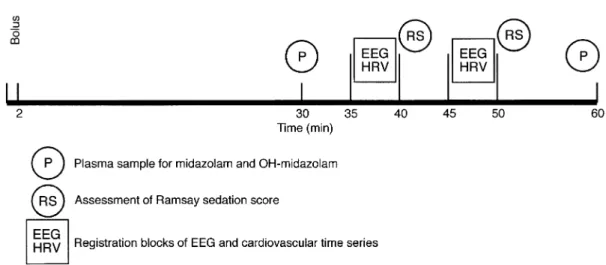Fig 1 Sequence of procedures during one infusion period.