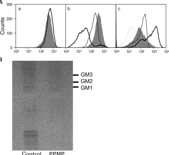 Fig. 5. Modulation of glycolipid biosynthesis affects P-selectin binding. (A) MC-38 cells were stained with mouse P-selectin and analyzed by ﬂow cytometry.