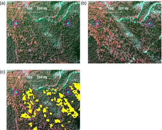 Figure 11 Example of erroneous forest cover change outside the 50 × 50 m NFI sample plot area (square)