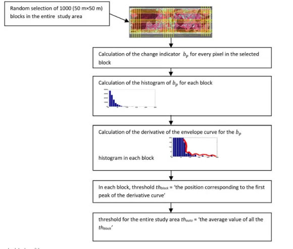 Figure 4 An 11×11 m moving window centred by each pixel, within a 50×50 m image block.