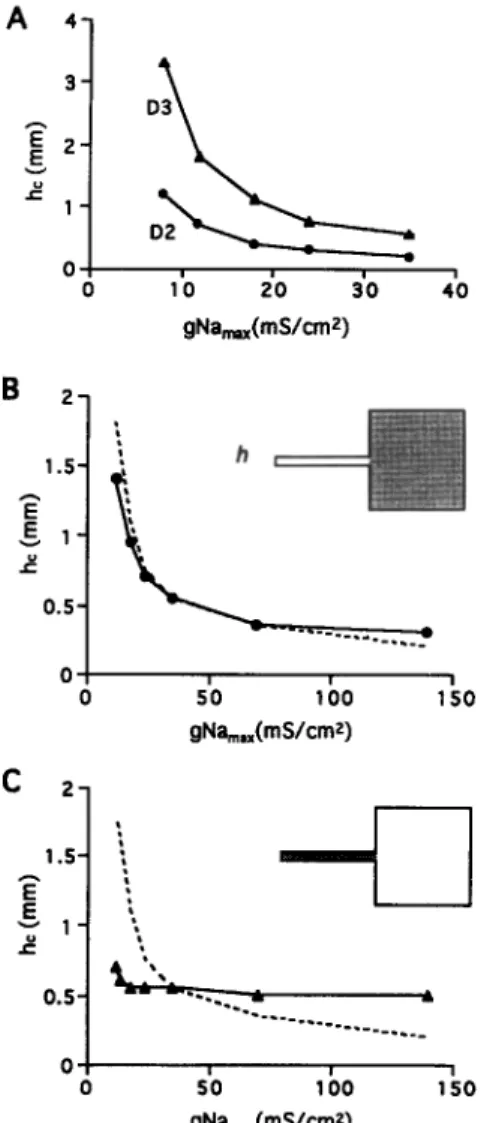 Fig.  6.  Dependence  of  critical  strand  width,  h,,  on  maximum  sodium  conductance  gNa,,,