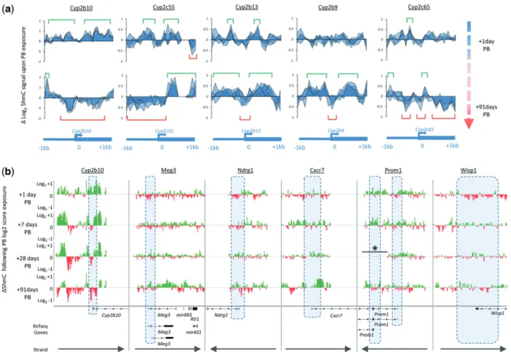Figure 4. Analysis of candidate PB exposure biomarkers with potential roles in the progression of tumorigenesis (a)
