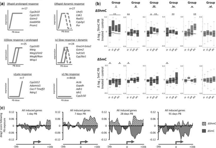 Figure 3. Strongly induced PB genes reveal elevated promoter proximal 5hmC levels around the time of initial induction, which are lost with continu- continu-ous expression