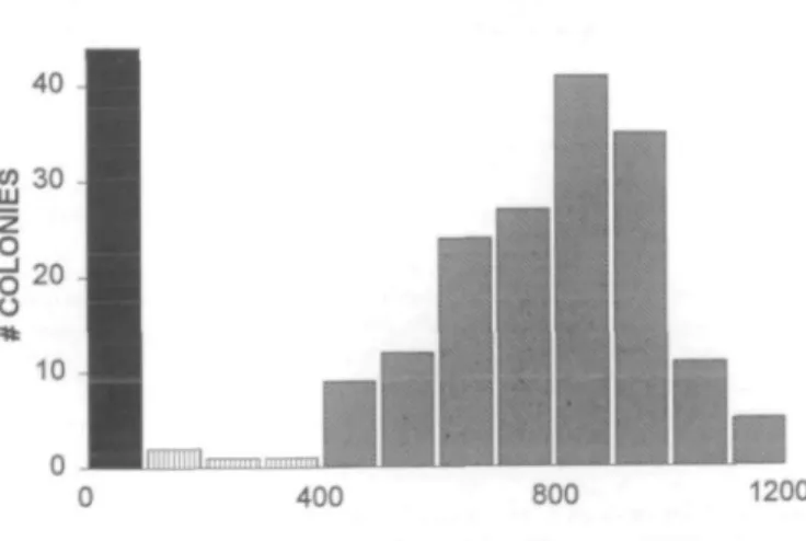 Figure 2. Distribution of CBS activity in separated normal and mutant alleles.