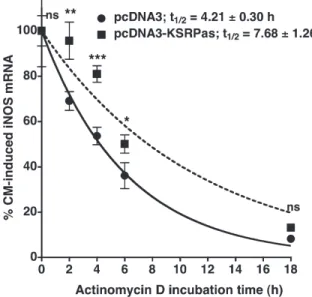Figure 4. Effect of downregulation of KSRP expression on human iNOS mRNA stability. DLD-1-pcDNA3 (filled circles) and pcDNA-KSRPas (filled squares) cells were preincubated for 18 h in medium without FCS and phenol red