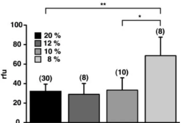 Fig. 1 Two-fold increase in vascular permeability after exposure to 8% oxygen. Sodium ¯uorescein injected intravenously in controls or hypoxic mice was quanti®ed following homogenization of brain hemispheres