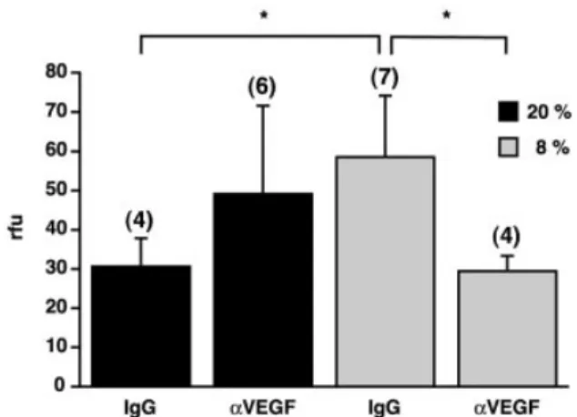 Fig. 5 Blocking VEGF action prevents hypoxia-induced vascular leakage in the brain. A neutralizing anti-VEGF antibody (aVEGF) or an isotypic goat antibody (IgG) was injected intraperitoneally before exposure to 20% (black columns) or 8% oxygen (grey column