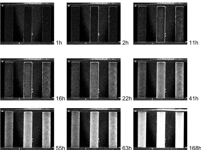 Figure 4: Difference images of three cement mortar samples after different drying periods.
