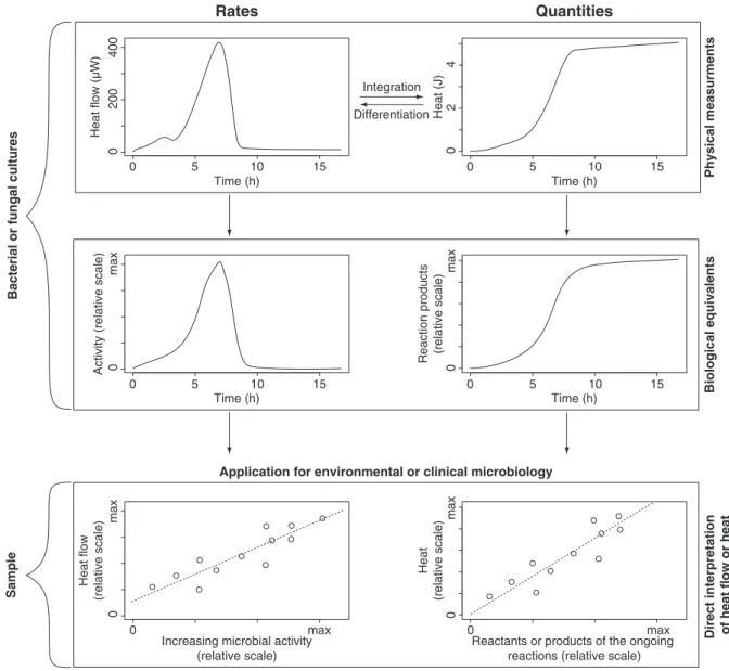 Fig. 2. Sketch showing the relationships between actual calorimetric measurements [i.e