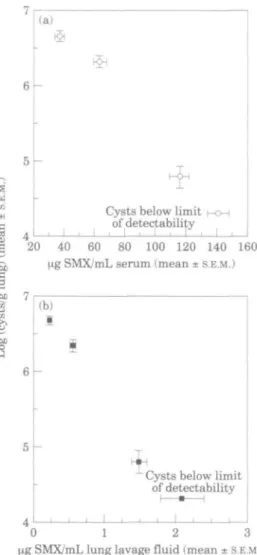 Figure 4. Comparison of body fluid sulphamethoxazole levels and final lung cyst levels