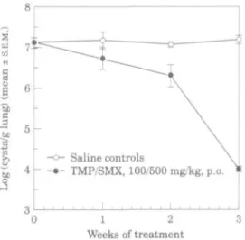 Figure 5. Progression of P. carinii infection in scid mice during treatment with trimethoprim/sulphamethox- trimethoprim/sulphamethox-azole