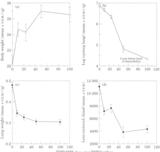 Figure 1. Tnmethoprim/sulphamethoxazole (TMP/SMX) treatment of scid mice infected with P