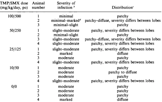 Table II. Histological evaluation of the effect of trimethoprim/sulphamethoxazole. Treatment of P