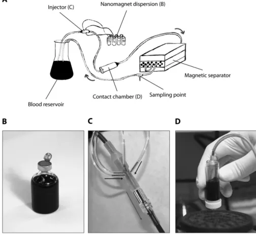 Fig. 1. Magnetic separation implemented in an extracorporeal blood purification device (A)