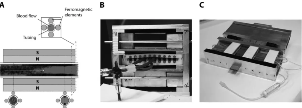 Figure 3 reports results of single passes through the mag- mag-netic blood purification device (‘open-loop configuration’, blood passes the device only once)
