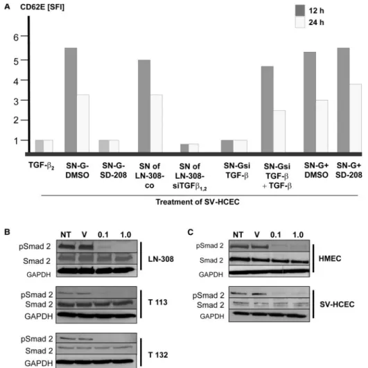 Table 3 Modulation of VEGF release by LNT-229 and SV-HCEC