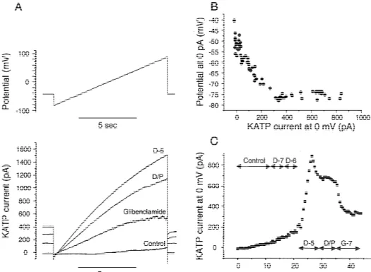 Fig. 1. Example of whole cell recording on a ventricular myocyte with 84 mmol / l ADP and 1.08 mmol / l ATP in pipette