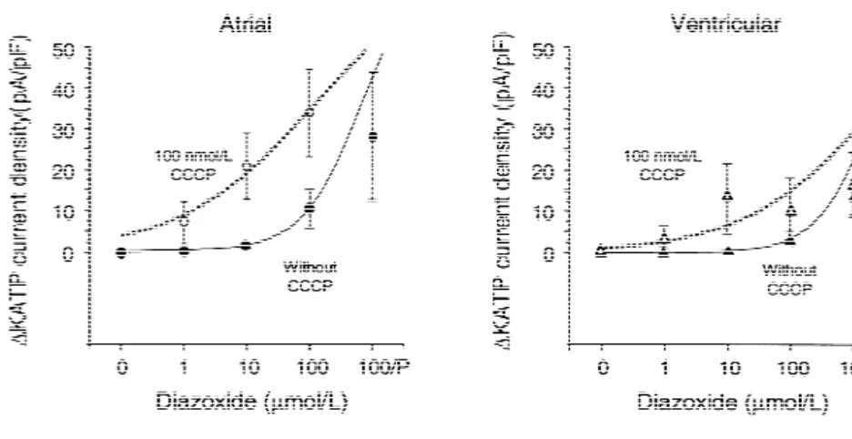 Fig. 6. Dose–response curves for increase in K ATP current density at 0 mV. (A) Atrial myocytes; (B) ventricular myocytes