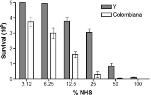 Figure 2. Kinetics of complement activation. A, Trypanosoma cruzi Y and Colombiana strains incubated with 25% normal human serum (NHS) at 37°C for 0.5–30 min