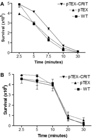 Figure 6. Complement lysis assay comparing the resistance to lysis of Trypanosoma cruzi Colombiana strain wild-type (WT), transgenic pTEX, and pTEX– complement C2 receptor inhibitor trispanning (CRIT) parasites.