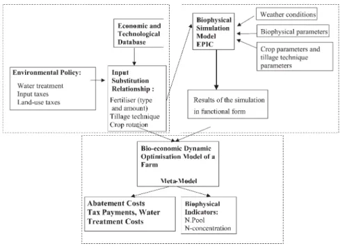 Figure 1. Components of the model and scheme of the economic analysis.