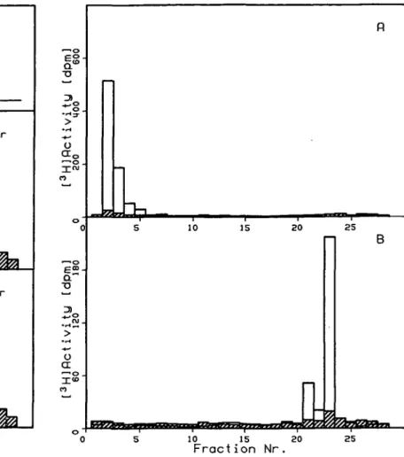 Fig. 2. Radioactivity profile of h.p.l.c. chromatograms of liver DNA of [ 3 H]HCH-treated NMRI-mice, enzymatically digested to deoxynucleosides.