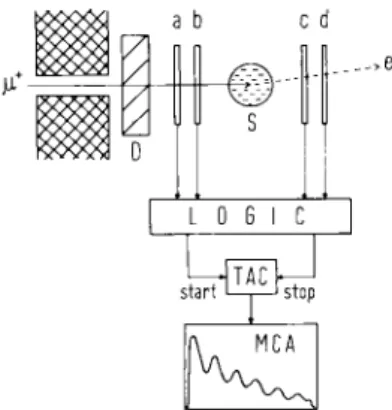 Fig. 1. Schematic representation of a mSR experimental assembly. 