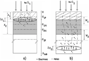 Figure II.7   Les porteurs Photo-générés à l’intérieur du détecteur BDJ dans le cas  de (a) la lumière bleue (λ~450 nm) et (b) la lumière rouge (λ~680 nm) [1]