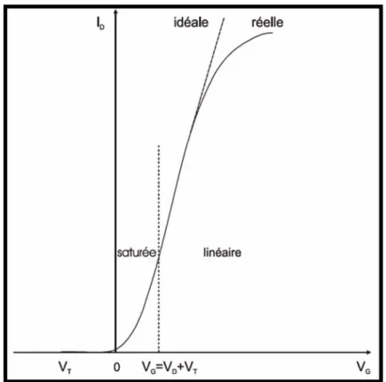 Figure I.6 : Variation du courant de drain I D  en fonction de la tension de grille V g  [11]