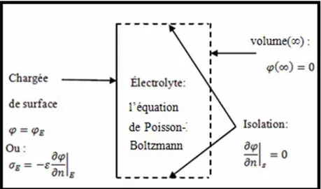 Figure III.8 : Conditions aux limites associées à l’équation de Poisson-Boltzmann en                       2 dimensions  [38]