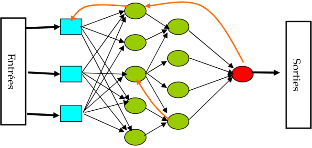 Figure 2.6. Réseau de neurones bouclé. 