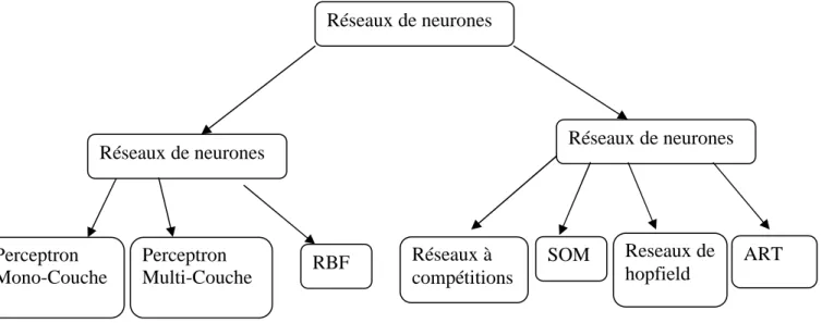Figure 2.9. Quelques RNAs usuels 