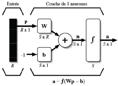 Fig. I.6 – Représentation matricielle d’une couche de S neurones[5] 