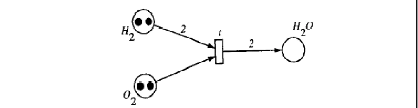 Figure 8: Un réseau de Petri représentant une réaction chimique de la composition de  l'eau 