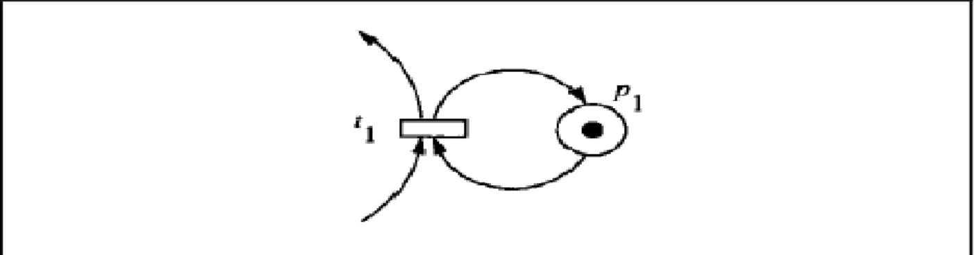 Figure 9 : La transition t1 est une transition source et  t2 est une transition puits 