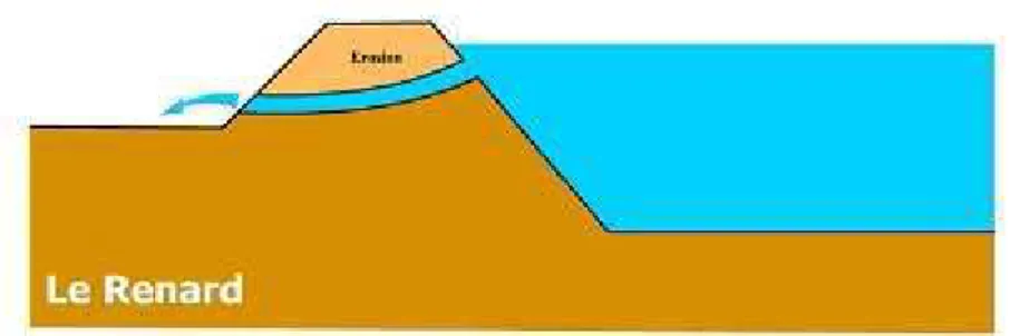 Figure 1.9 : Rupture par renard [19]