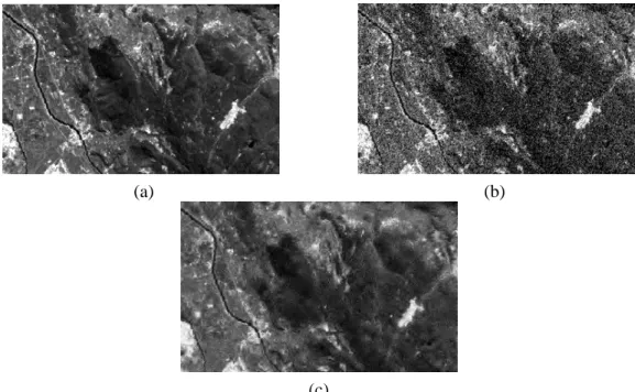 Tableau 3.3– Résultats de la restauration fondée sur le modèle du SVH des images Landsat.