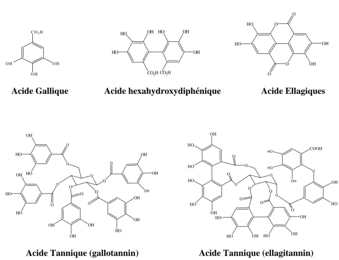 Figure 9. Structure des tanins hydrolysables et leur monomère (Bruneton, 1999).