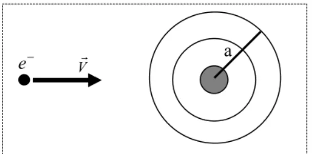 Fig. 1.5 Collision électron atome neutre (section efficace).