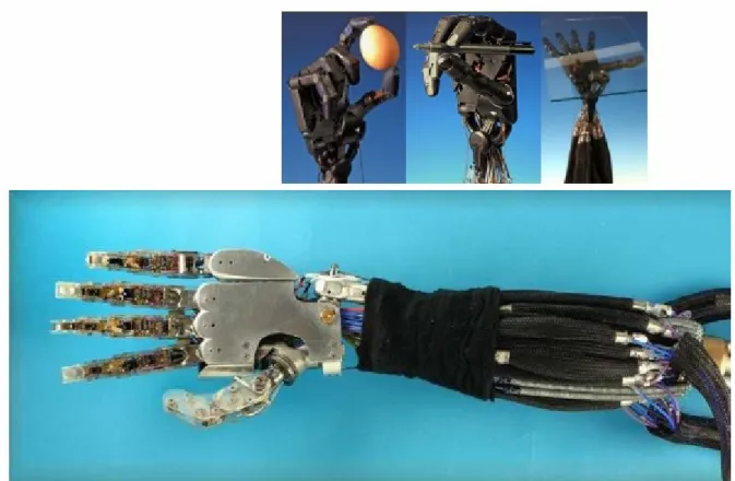 Figure I.20 : Main dextre de Shadow  