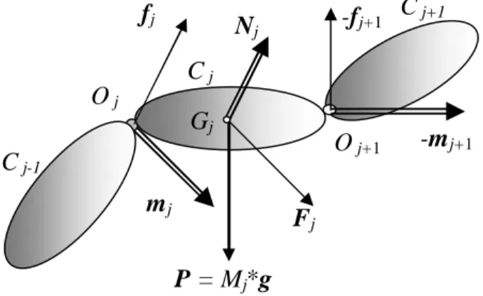 Figure II.1 : Les efforts appliqués sur le  corps C j   du bras manipulateur