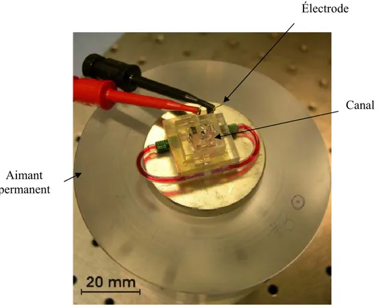 Figure 1.10 Vue en dessus d’une micro pompe à conduction  (à aimant permanent de NdFeB de 40 mm de diamètre [20] 