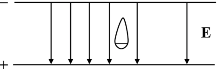 Figure 1.4 : La configuration pointe positive plane à la terre, les lignes de champ  montrent la dissymétrie du champ électrique entre électrodes