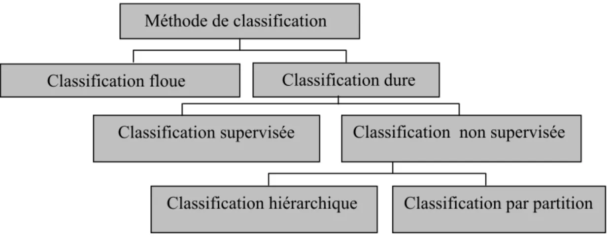 Figure 2.2 Taxonomie de la classification inspirée de celle de Jain et Al.  