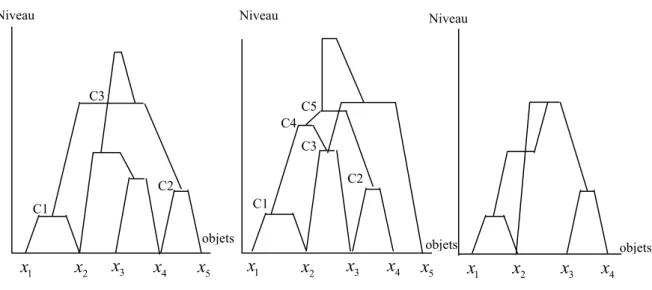 Figure 2.7   Exemples de croisements (gauche et centre) et d'inversions  (droite) dans  les pyramides