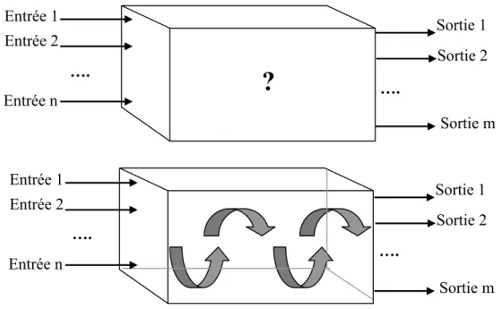 Figure 2.10  Le proto-émergentisme (en haut) et le néo-émergentisme (en bas)  Entrée 1 Entrée 2 …