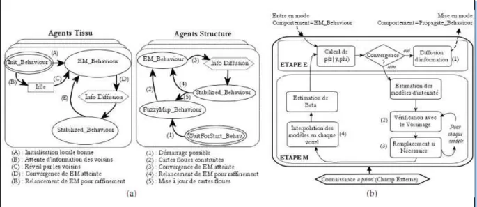 Figure  10:  Diagrammes  fonctionnels  :  enchainements  possibles  des  comportements  des  agents tissu et structure (a) et détails du comportement EM Behaviour des agents locaux  (b)  qui  correspond  à  un  EM  classique  avec  ajout  des  étapes  (1),